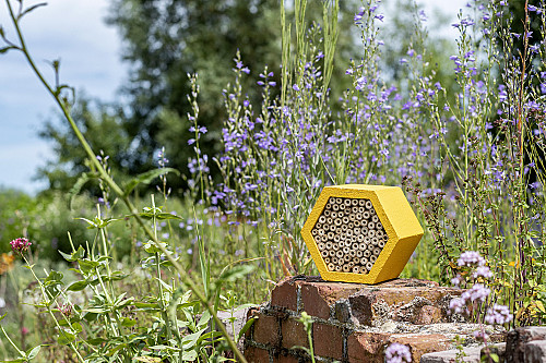 Woodstone Matias Insect Hotel