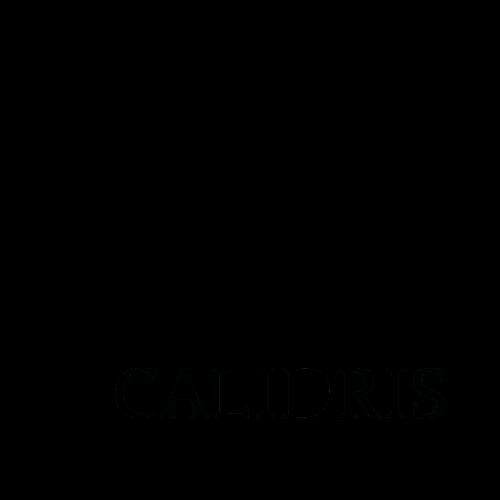 Calidris-logga svart utan bakgrund (1)