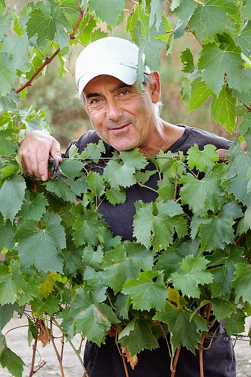 242912850_4130992690345520_1949079653438411097_n