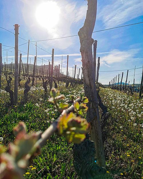 279654257_5379311285422249_4752639506195858088_n