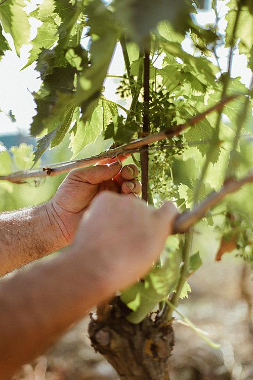 280745663_4864517230326392_2045123514532411341_n