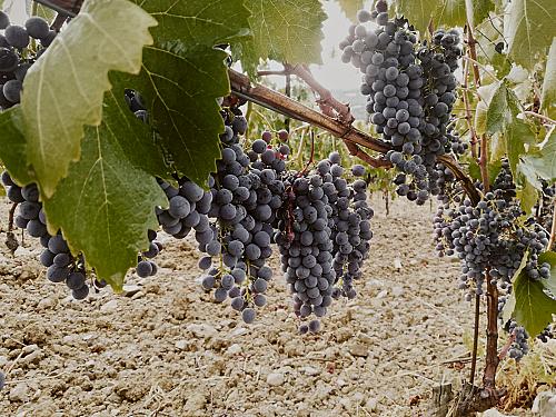 301038991_5142022412575871_3047338884424408542_n