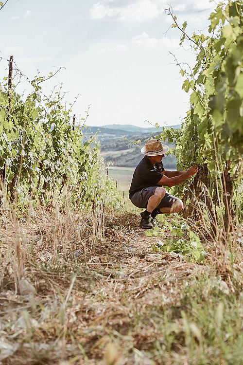 Europese wijnsector omarmt transparantie en directe handel