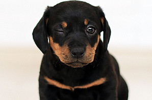 Blog Image - 1588153400.jpg