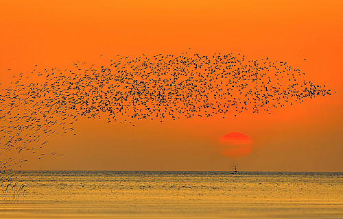 21ED45F7-303E-4C75-AA11-6CF7E1164616