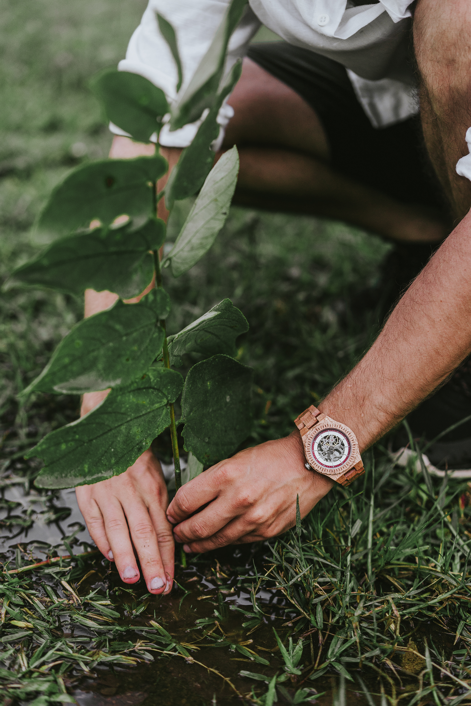 WoodWatch plant 100.000 bomen tijdens Earth Month