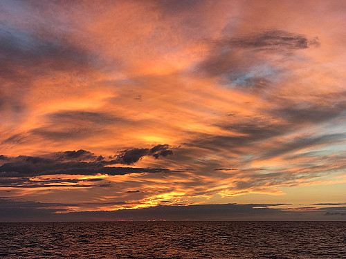 Uttar-Pradesh laat zien: ook met lage vaccinatiegraad kan corona worden uitgeroeid