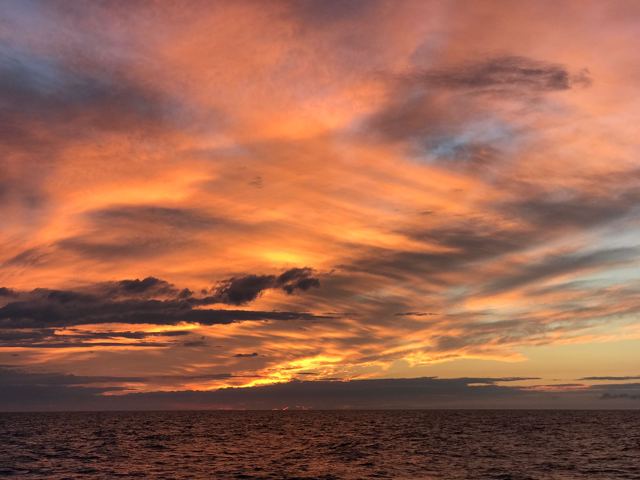 Uttar-Pradesh laat zien: ook met lage vaccinatiegraad kan corona worden uitgeroeid