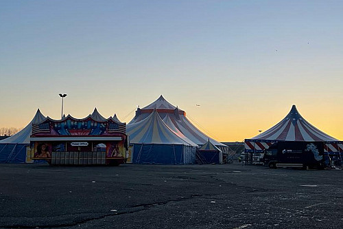 Kerstcircus op P5 2023